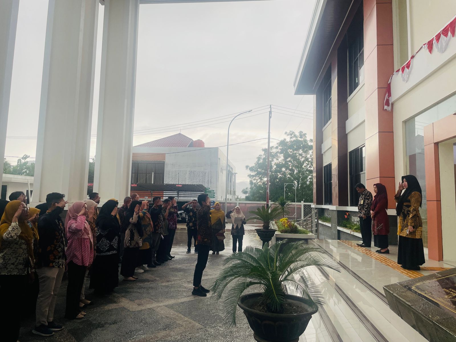 2401 ApelSore