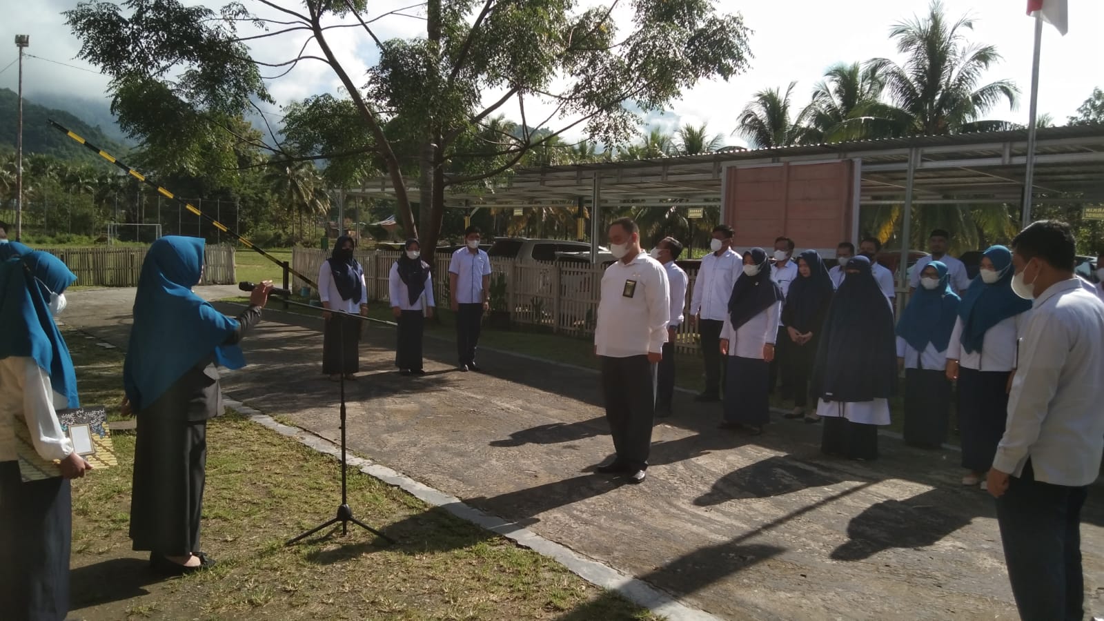 apel08113